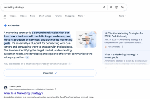 Optimise for Snippets and Overviews